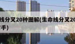 生命线分叉20种图解(生命线分叉20种图解 右手)