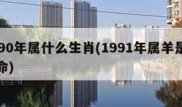 1990年属什么生肖(1991年属羊是什么命)