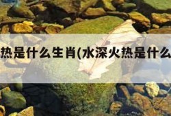 水深火热是什么生肖(水深火热是什么生肖数字)