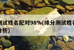 缘分测试姓名配对98%(缘分测试姓名配对打分分析)