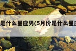 5月份是什么星座男(5月份是什么星座男人)