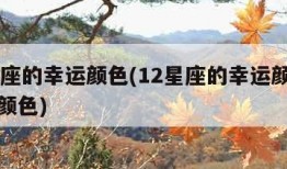 12星座的幸运颜色(12星座的幸运颜色是什么颜色)