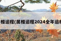 属相运程(属相运程2024全年运程)