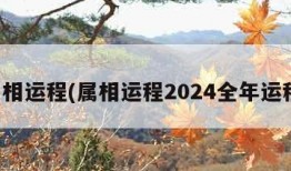 属相运程(属相运程2024全年运程)