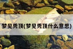 梦见秃顶(梦见秃顶什么意思)