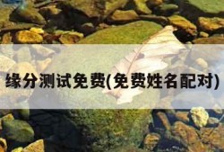 缘分测试免费(免费姓名配对)