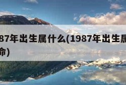 1987年出生属什么(1987年出生属什么命)