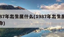 1987年出生属什么(1987年出生属什么命)