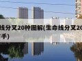 生命线分叉20种图解(生命线分叉20种图解 右手)