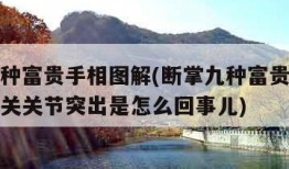 断掌九种富贵手相图解(断掌九种富贵手相图解手指关关节突出是怎么回事儿)