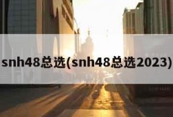 snh48总选(snh48总选2023)