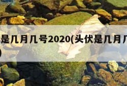 头伏是几月几号2020(头伏是几月几号2023)