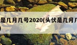 头伏是几月几号2020(头伏是几月几号2023)