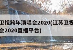 江苏卫视跨年演唱会2020(江苏卫视跨年演唱会2020直播平台)