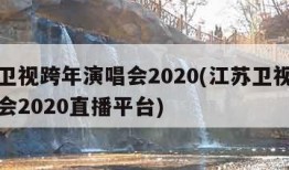 江苏卫视跨年演唱会2020(江苏卫视跨年演唱会2020直播平台)