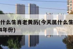 今天属什么生肖老黄历(今天属什么生肖老黄历2024年份)